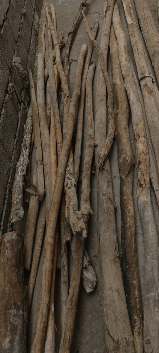 السلام عليكم ورحمة الله وبركاته عندي 13 زوايه مالت بناء و6شيلمانات وهمين عمدان الي يريد يشتري يتصل على الرقم ‏‪***********‬‏ طول الشيلمان اربع مترات ونص وطول الزوايه 5امتار
