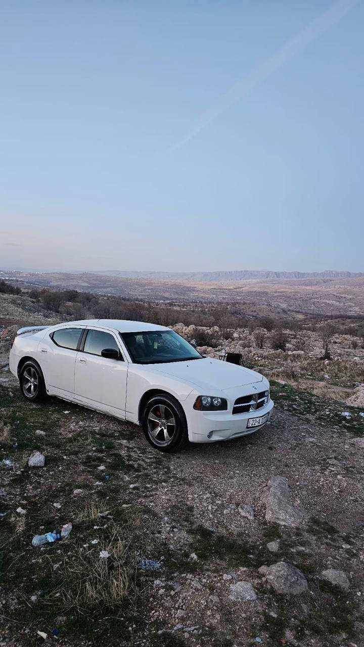 السلام عليكم   جارجر  للبيع  بأسمي
موديل. 2008. 
كير مكينه خير  من الله 
حدادية نص عمر 
بيها قطعتين  
السعر  95 

هاتف. ***********
