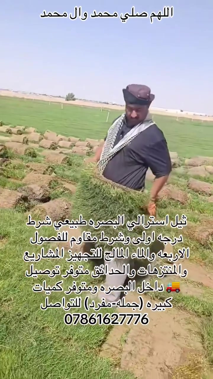 :من اجود أنواع الثيل ومقاوم الفصول الاربعه والماء هو (ثيل الاسترالي)وشرط درجه اولى طبيعي للتجهيز الحدائق والمشاريع والمنتزهات ودوائر الحكوميه والملاعب الرياضية شرط ونسبه نجاحه 💯 ومتوفر توصيل 🚛 داخل البصره خلال 24 ساعه  //***********
