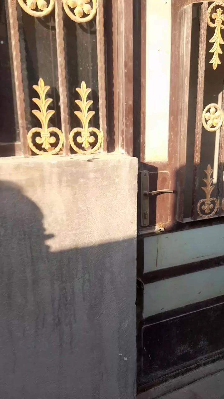 بيت ايجار المساحه ١٠٠متر منطقت الدوام قرب الشرطه الخامسة قريب علا الشارع العام ٢نوم صاله مطبخ خدمات سعر الإيجار ٣٥٠ الاستفسار علا الرقم ***********حسن ابو محمد
