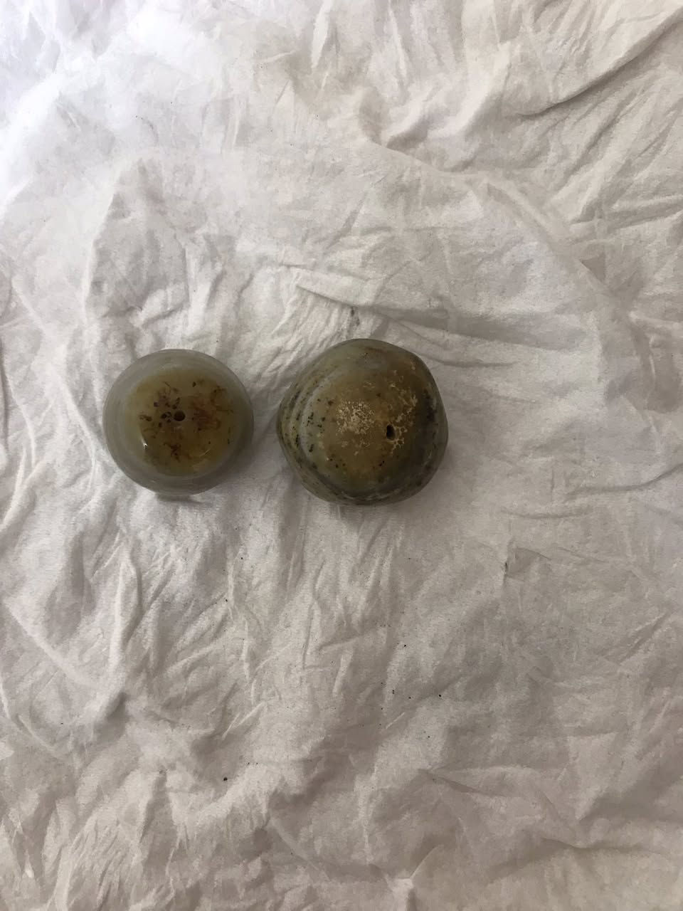 السلام عليكم عرق السواحل نوعين كما موضح في الصورة مع أحجار للبيع التواصل واتساب ***********
