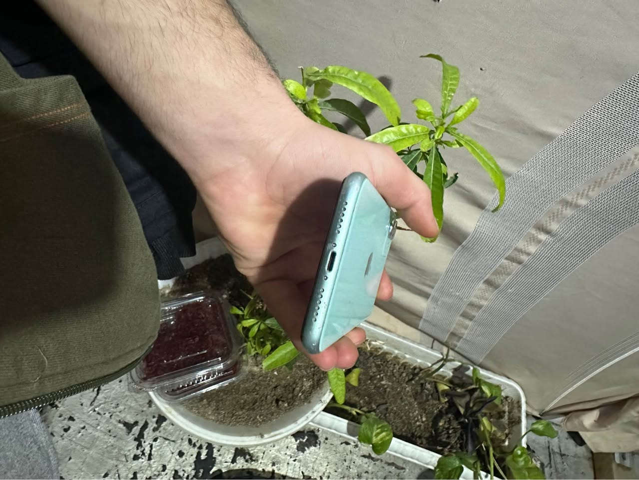 ئایفۆن ١١دوکامیرە کەپسە هیچی نەگۆرایە مسجی ئەپلی هەیە پاتری٧١ زاکیرەی٦٤گێگا  هەندەک وردە شوختی ئیتاری هەیە شوێن هەولێر نرخی ٢٣٠هەزار و هەندەک محامەلە تکایە موشتەری نی نەسەری خۆت بێشینە نەسەر من *********** أربيل, العراق
