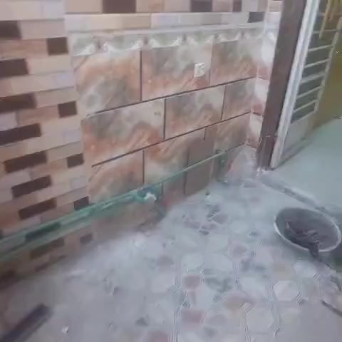 دار لليجار طابقين الطابق الاول حمام خارجي حمام داخلي منور مطبخ صاله كبيره الطابق الثاني حمام غرفه 4ونص في 5ونص وغرفه ثانيه 3 في 5 جاهز من كلشي ماطور تانكي ماء غسر تانكي ماء حلو  مغسله كيزر فوك وكيزر جوه الحيانيه المنطقه 3 بضهر الشارع العام 400شامل الماء والكهرباء 
***********
