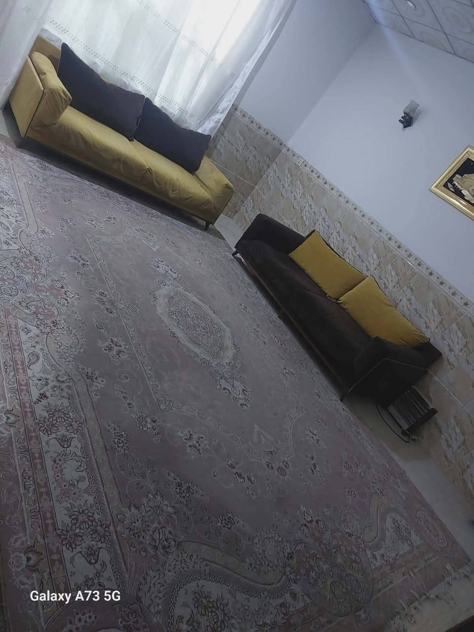 زوليه إيراني ايراني ١٢٠٠ شانه بدون عيب سعرها ١٠٠ وقنفات ب٢٢٥.  ٦ نفرات تركي مكانهم اربيل لتواصل خاص


**إذا كنت صاحب هذا الإعلان وتريد حذفه لأي سبب، رجاءا أرسل رسالة إلى الدعم الفني**