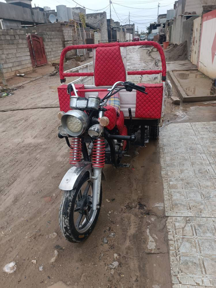 ستوته للبيع فحل 2018 سعر 900 بيها مجال ***********
