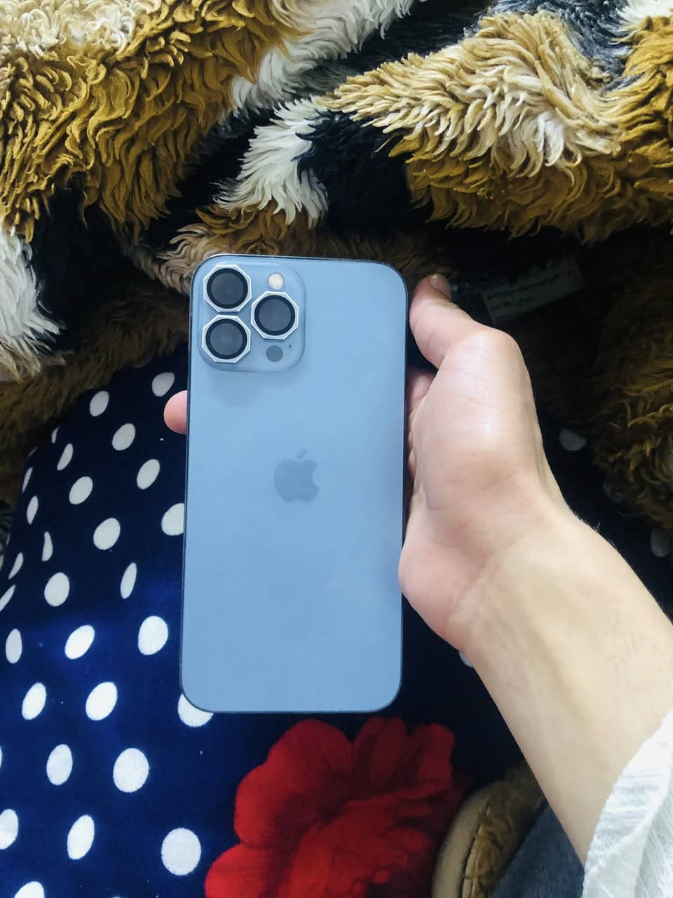 سلام عليكم
ايفون ١٣برو ماكس 
ذاكرة ٢٥٦
بطارية ٨٨
دبل سيم
فيس ايدي شغال 
جهاز كله شغال نضافة ٩٥٪؜١٠٠
فقط مبدل شاشة 
سعر ٥٠٠وبي مجال بسيط


**إذا كنت صاحب هذا الإعلان وتريد حذفه لأي سبب، رجاءا أرسل رسالة إلى الدعم الفني**