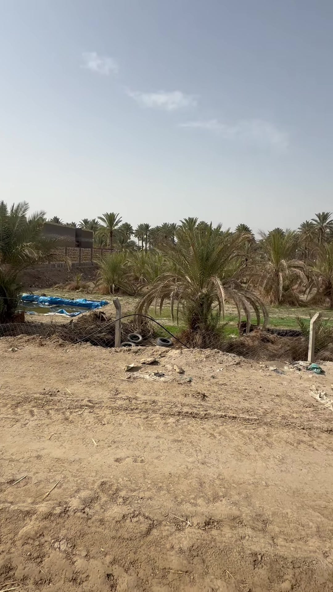 السلام عليكم للبيع ارض زراعيه ملك صرف تاجيه ع روائي مباشر  مقابيل مقاطعه 12 طابو صرف مساحه 2500 متر واجهيه 51 نزال 49 تحويل مباشر لاستفسار ***********

