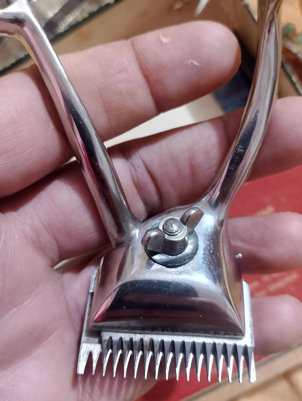 مكينة حلاقة يدوية فرنسية 
جديد لوك .
غير مستخدمة 
ملحقاتها درع + نمرة 4+نمرة6


**إذا كنت صاحب هذا الإعلان وتريد حذفه لأي سبب، رجاءا أرسل رسالة إلى الدعم الفني**