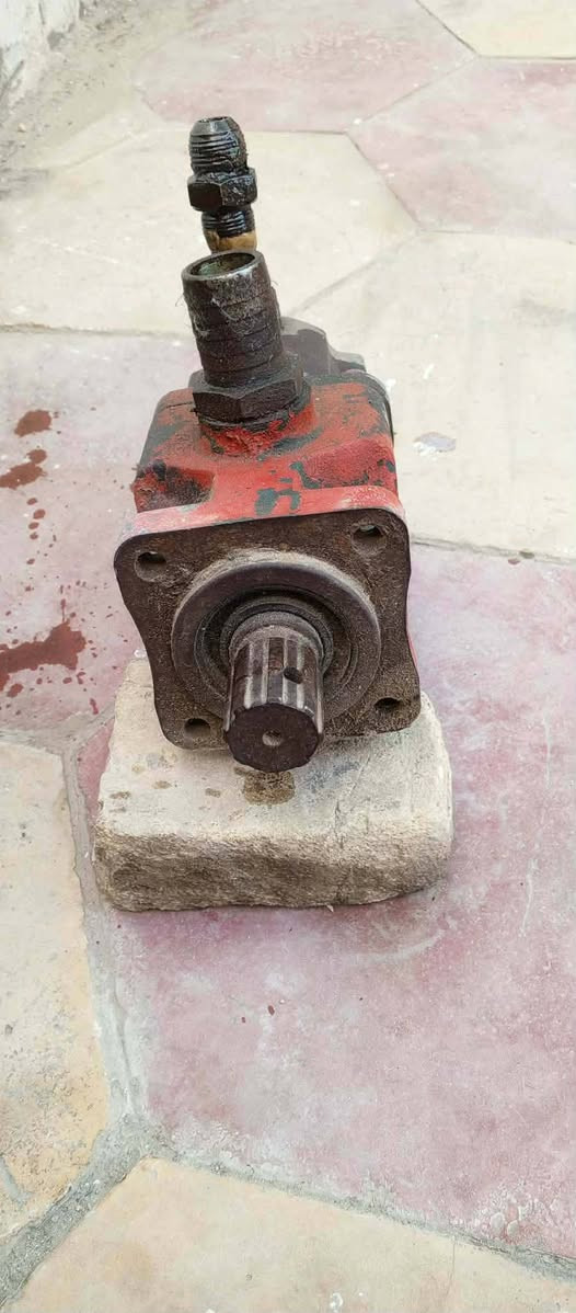 سلام عليكم خنزيره لبيع
***********
