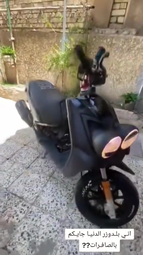 السلام عليكم سكنس جبلي ام عيون مزوده كلها بيها صالنصه بوري عدل بيها كلجات wf دبلات خلفيه قطره اكسل قطره دهن رياضي ستيرن كرزي عمبار بريك يدات رياضي ستان صفح بكلايت رياضي فراك بريك رياضي سبايدر رياضي ويل أمامي وصدر رياضي سلف رياضي مكينه مامعرفه شكد قويه كلش بيه كور تتي مارك براد دهن دراجه مغلفه للجماليه لونها بلادي ابيض كفر ختم واحد ويه مكينه دراجه ماصرلها هواي من نازله مكاني بغداد البياع موبايل ***********
