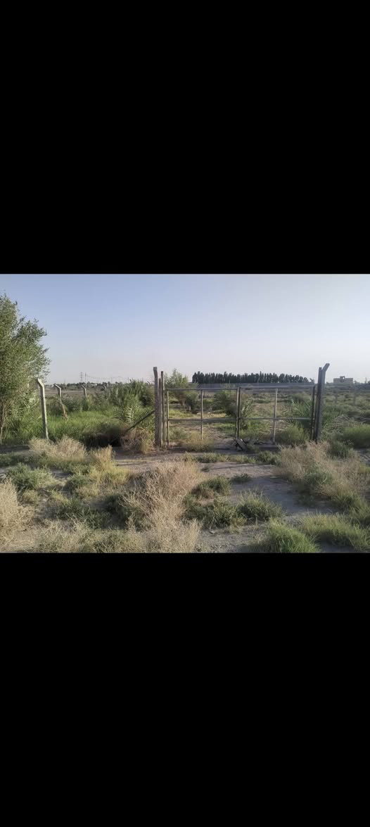 السلام عليكم  
بستان زراعي للبيع مساحه 500 متر 
جاهز مسيج وصونده ماي شارع كدامه 15 متر 
العنوان ناصريه  لاستفسار 
مراسله الرقم 
***********
