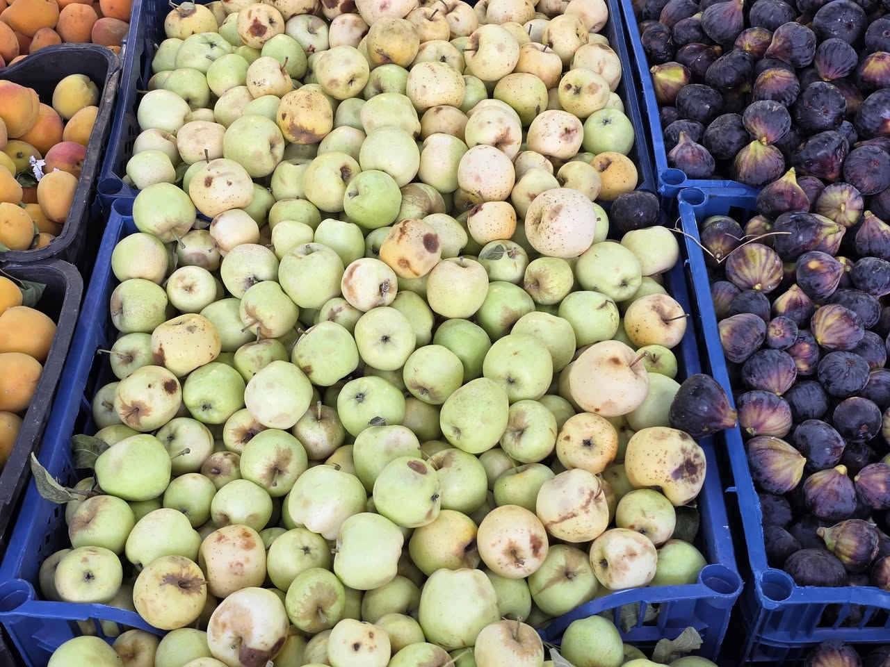 📍 بيت الفواكه
العنوان: كربلاء المقدسة – حي العامل، بعد مول الباقر باتجاه جامع أهل البيت (ع)، مجاور مخبز العسكري.
📞 للطلب والاستفسار: ***********
🚚 تتوفر خدمة التوصيل داخل كربلاء.
أهلاً وسهلاً بكم، نوفر لكم أجود أنواع الفواكه والخضروات الطازجة بأسعار مناسبة وجودة مميزة.
🍅 الطماطة: 500 دينار
🥒 خيار مي: 1000 دينار
🥒 خيار عطروزي: 1000 دينار
🥬 لهانة: 1000 دينار
🥔 بتيتة: 1000 دينار
🧅 بصل أحمر: 1000 دينار
🧅 بصل أصفر: 750 دينار
🧅 بصل أبيض: 750 دينار
🥝 كيوي: 2500 دينار
🍎 تفاح عراقي صغير: 1500 دينار
🍏 تفاح سكري أخضر: 3000 دينار
🍎 تفاح أحمر: 1500 دينار
🍏 تفاح أصفر: 2000 دينار
🍐 عرموط: 2500 دينار
🍊 برتقال: 1500 دينار
🍋 ليمون: 3000 دينار
🍑 لا لنكي: 2500 دينار
🍑 مشمس: 3000 دينار
🥕 جزر: 1250 دينار
🌿 شجر: 1000 دينار
🍆 بذنجان: 1000 دينار
🌶️ فلفل حار: 2500 دينار
🥦 قرنابيط: 1000 دينار
🫑 فلفل أخضر بارد: 2500 دينار
🥥 قطعة جوز: 1500 دينار
🫘 لوبيا: 2500 دينار
🟢 بامية: 3000 دينار
🥬 خس: 1000 دينار
🥒 كوجة حمرة أولى: 2000 دينار
🥒 كوجة صفر أولى: 2000 دينار
🍇 عنب أبيض: 3500 دينار
🍇 عنب أسود: 3500 دينار
🍇 عنب حلواني أحمر: 5000 دينار
🫐 تين: 7000 دينار
🍇 منكه: 4000 دينار
🍑 خوخ صوفي: 2500 دينار
🍑 مشمش: 3000 دينار
🍑 خوخ كعكي: 3000 دينار
🍒 كرز: 4000 دينار
🍑 ألو: 2000 دينار
🍉 ركي: 500 دينار
❤️ رمان: 5000 دينار
🥑 أفوكادو: 6000 دينار
🍌 موز: 1500 دينار
🍓 فراولة: 2500 دينار
🍄 أفطر: 2000 دينار
🫚 زنجبيل (الربع): 3000 دينار
🌴 تمر صطل: 2500 دينار
🌴 تمر كارتون كميا: 3000 دينار
🍗 صدر دجاج: 7000 دينار
🥛 روبة صغير: 500 دينار
🥛 روبة وسط: 1000 دينار
🥛 روبة كبير: 2000 دينار
🥛 لبن: 1000 دينار
🌹 بيت الفواكه... جودة طيبة وأسعار مناسبة، أهلاً وسهلاً بكم.
