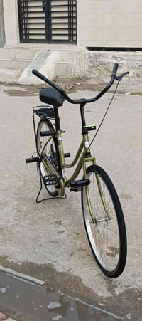 مرواس • بسكليت • أسود/طماطي