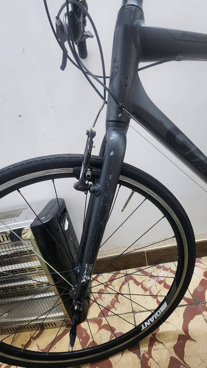 جاينت هجين
١٥٠ الف 
بغداد مدينه الصدر 
***********
