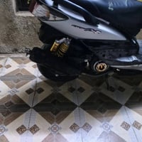 سكنس فحل • مزودة • كلتش رياضي