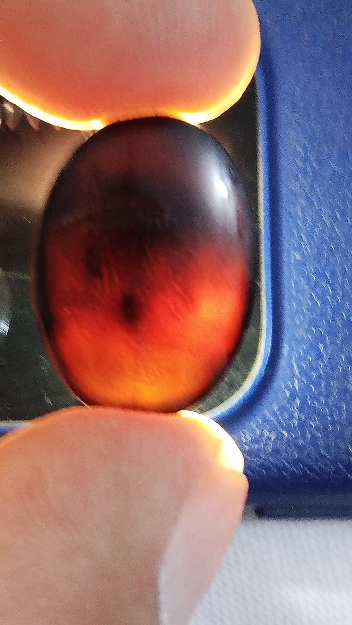 رواعع اليماني الانسي شفة العبد الحر الغير مجمر فقط جرخ وتلميع امانه التواصل خاص


**إذا كنت صاحب هذا الإعلان وتريد حذفه لأي سبب، رجاءا أرسل رسالة إلى الدعم الفني**