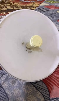 قفل مكاني • خان ربع • نجف