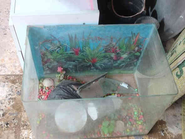 مكلفة بالنشر 
غراض للبيع 
للاستفسار عن السعر او لديكم اي سؤال الاتصال اومراسلة صاحب الرقم ***********
لحديراسلني الغراض موالي
