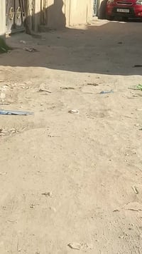 كربلاء الحولي • ١٠٠م • واجهة١٠م