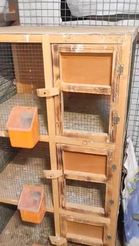 خانات طيور • مستعمله • اسبوع