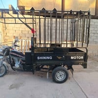 ستوته • موديل 24 • الفلوجه