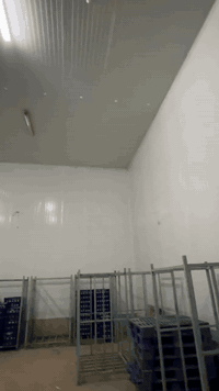 قاعات للايجار مبرده تحتوي على اجهزه تجميد وتبريد  حديثه  الحجم ١٢x١٤والارتفاع٧
للاسفسار***********
