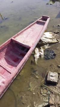 بلم للبيع طول 14 ضراع نظيف سعر 350 رقم واتساب فقط 07763491825