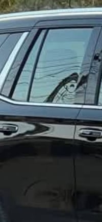 جام البوب • بدون تضليل • موديل 24