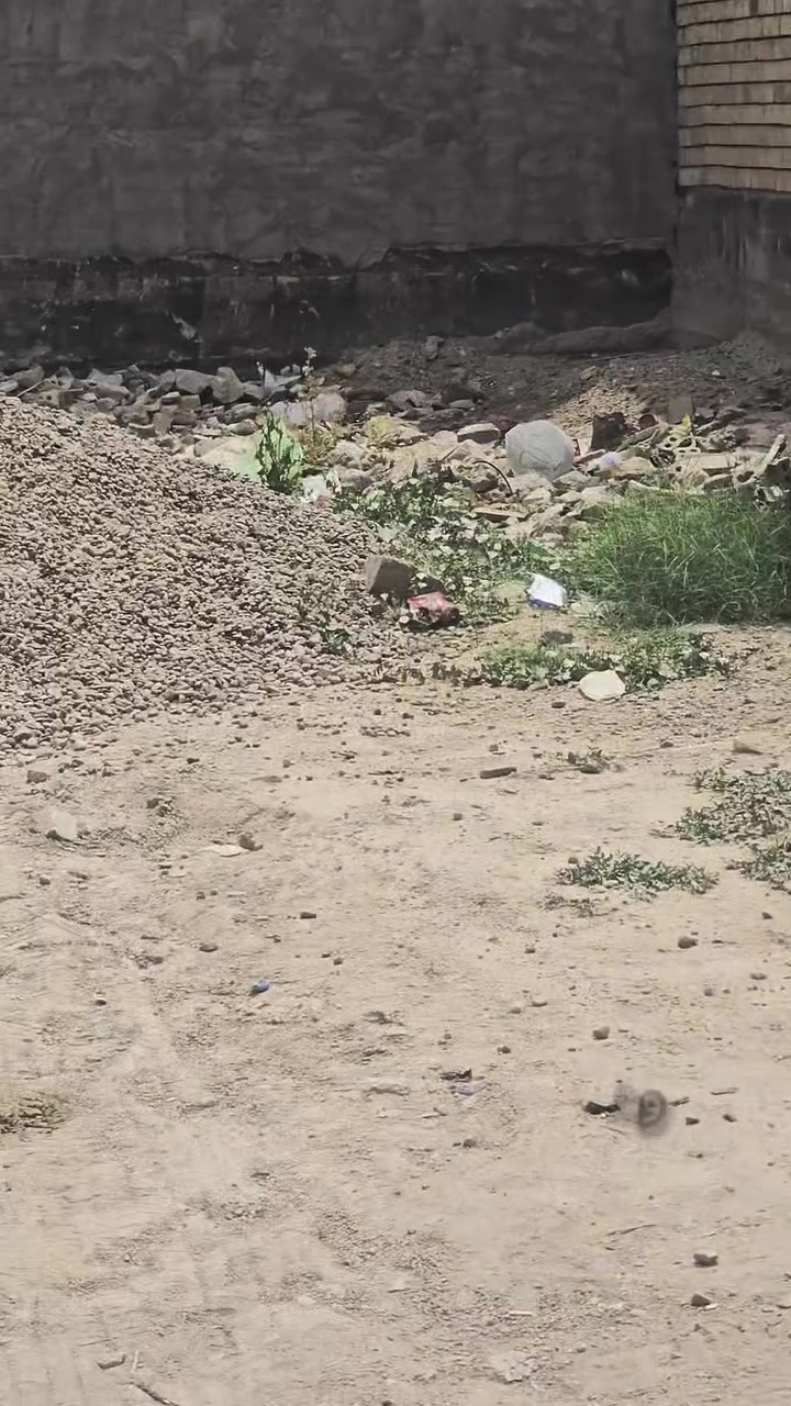 المحمودية – حي المهندسين
قطعة أرض للبيع
▪️ المساحة: ١٣٠ متر مربع
▪️ الواجهة: ١٠.٦٠ متر
▪️ النزال: ١٢.٦٠ متر
▪️ الموقع: على شارع رئيسي
▪️ موقع مميز وقريب من الخدمات
للاستفسار الاتصال على الرقم:
***********
