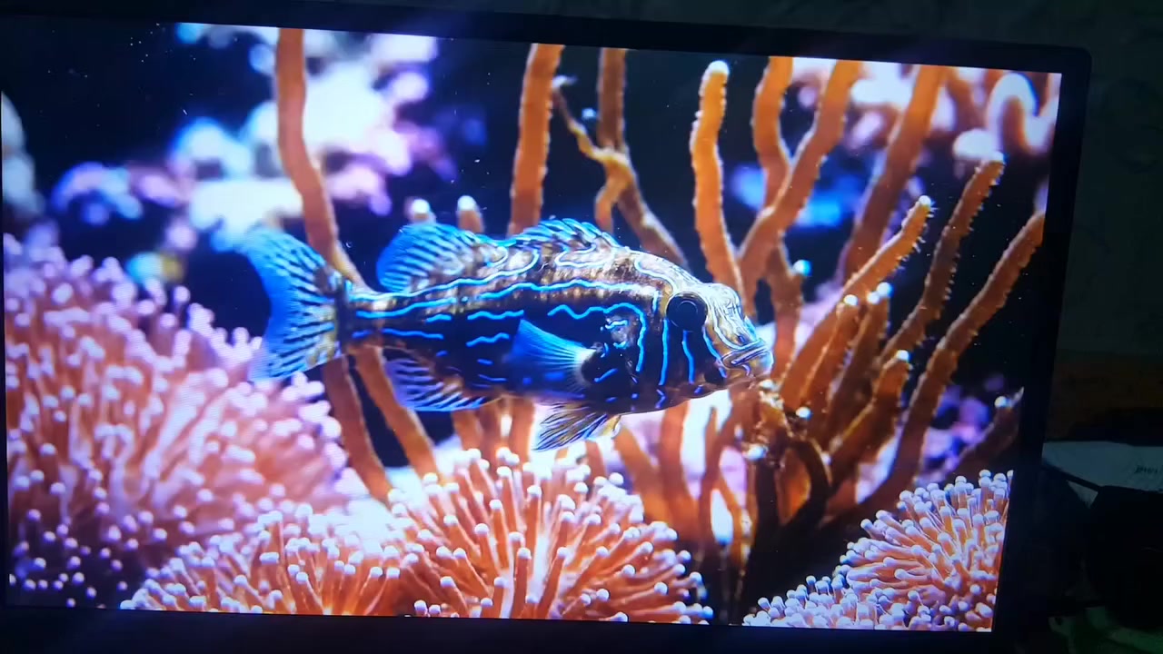 السلام عليكم شاشة محمولة 15,6 انج جديدة تربط على الموبايلات والحاسبات 70 الف  متوفر توصيل


**إذا كنت صاحب هذا الإعلان وتريد حذفه لأي سبب، رجاءا أرسل رسالة إلى الدعم الفني**