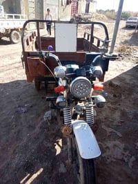 ستوت 2010 • رقم اصولي • قضاء النصر