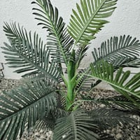 قطعة • حجم كبير • الشعب