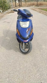 دلفين • كارتونه • سلف وهندر