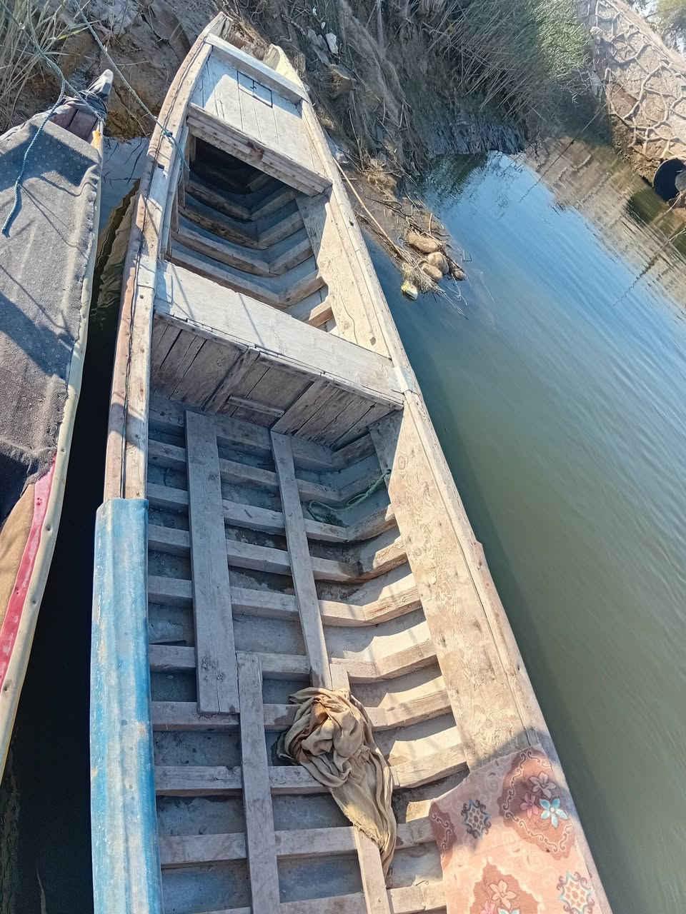 فافون للبيع طول ١٦ ذراع مراوس بزغر ***********
