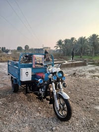 ستوته • موديل22 • القاسم