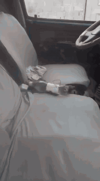 سياره بريجو موديل 99 رقم انكليزي.  سنويه 28 السعر 33وبيه مجال ***********
