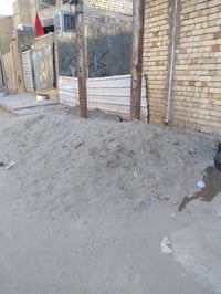 موجود زميج مجانا الي محتاجه خل يأخذه كفاأت قريب على أسكله أبو محمود م ...