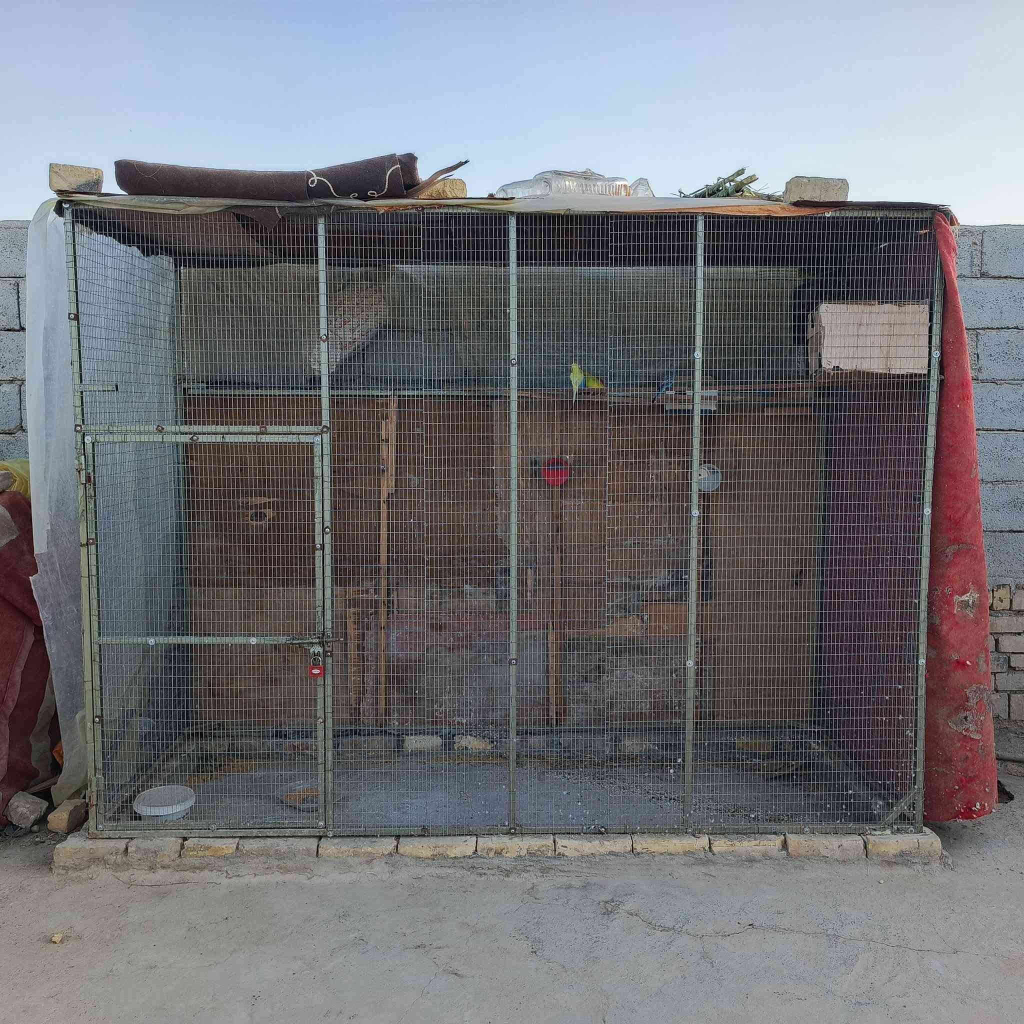 سلام عليكم برج مال
طيور الحب أو حمام 

الطول مترتين ونص والعرض متر ورتفاعه مترتين 

برج كامل وجديد توني مفصله 

السعر 140
مكاني الطار العبرات 

هاذا رقمي ***********
