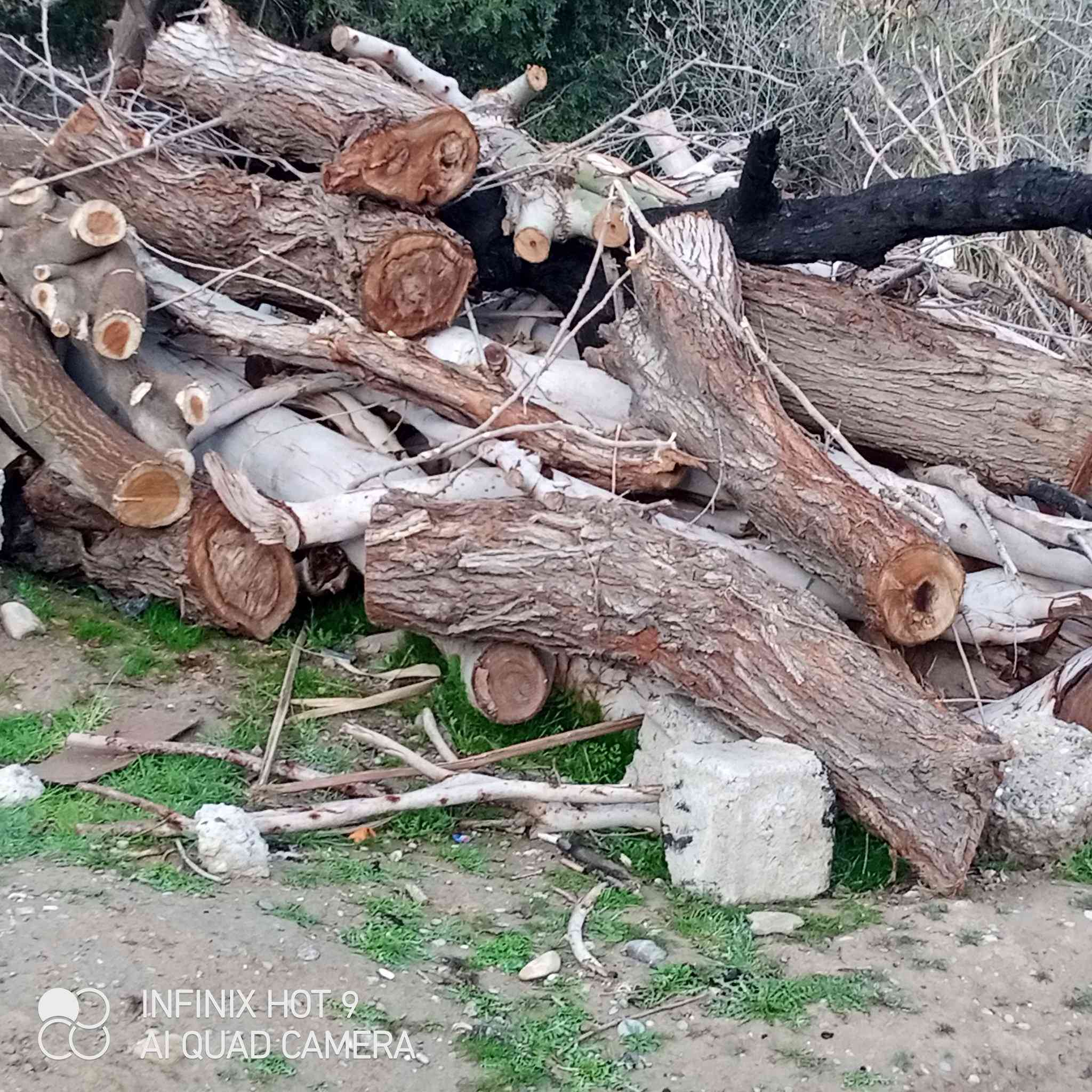 السلام عليكم يوجد حطب يابس للبيع للاستفسارالاتصال على الرقم***********
