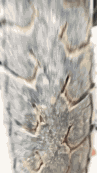 ماطور جبلي . لبيع. بطارياته 10+10 او عل فحص الموطار كلش حلوو او نضيف السعر 550 ألف قفل  رقمي *********** المكان فلوجه حي جبيل
