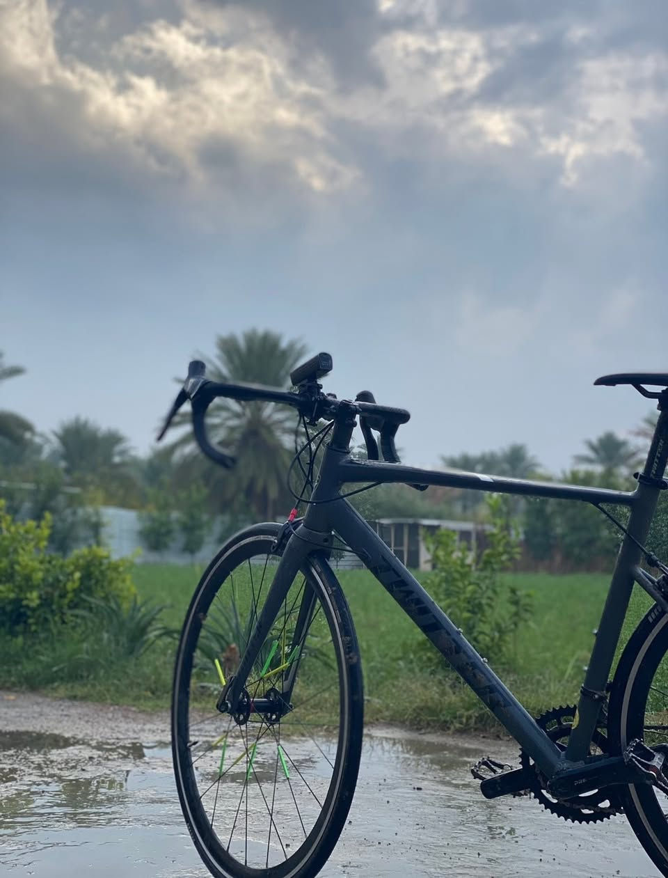 يالله سلام عليكم اخوتي الاعزاء 🤍
دراجة هوائية للبيع🚴‍♀️ ماركة TWITTER
قنيه عل التعريف رود حجم 28 المعدن الأمنيون الماشة كاربون الصينية براكيت الدشالي 11دشلي+2 الوايرات دفن الستيرن نفخ الفريم وايرات دفن البطيخات صوت طرب العقرب كاربون الوياله بوربرن كفائة عاليها ماشاءالله فول اللون سمنتي مميز مختومة جيرمني
أخوان الدرجة كامله مابيها فد شي مبدل خلاص 
بيها ملاحظات بسيطة فقط الويل الخلفي بي عواج والعقرب يرادله تعيار نظافتها 100/95 
سعرها صارت عليه ب640 السعر المطلوب 550 والي مايعرف بيها لا يكسر بيها يرحم موتاكم 
مكاني بغداد التاجي منطقة المشاهدة 
رقمي ‭***********‬
