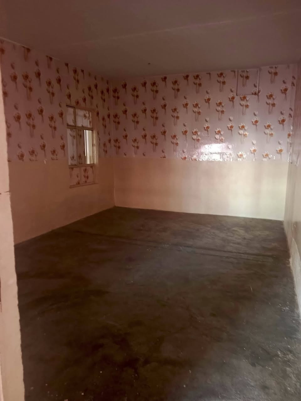 بِسْمِ‌ اللَّهِ ‌الرَّحْمَنِ ‌الرَّحِيمِ‌ 
بەنرخی بازاڕی ئەمۆ خانویەکی.زۆۆر
هەرزان.ماڵی تۆستە..لەگازینۆی.ازادی
کە8.50.پانە..21درێژە..بیری.تیایە
خانوەکەشەرقیە.بەڵام ژیانی تیادا
دەکرێت.دەساڵی تریش..بۆدووکەس
زۆۆرباشە
یەکەم. .کەم درامەت.وکرێجی.کەئیتر
لەکرێ ڕزگاری بێت....

دووەم..بۆقازانج کرد.بۆنمونە.دەتوانی
بیکەی بەدووخانو..5..بە..20...وە

3..بە20....بەڕێزان.نرخی کۆتایی
لای ئێمەیە.ئەویش...
  ***********.وڵام وەردەگری
تێبینی..
ڕووی خۆری بەیانیە
زۆرلەجادەدوورنیە
دراوسێی زۆربەڕێزی لێیە
