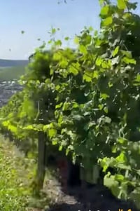 يوجد كادر عمال كداد و دوسه 8 عمال هذا رغمي 07875393728