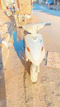 بيجي تسعة • زروف • مفتوحه