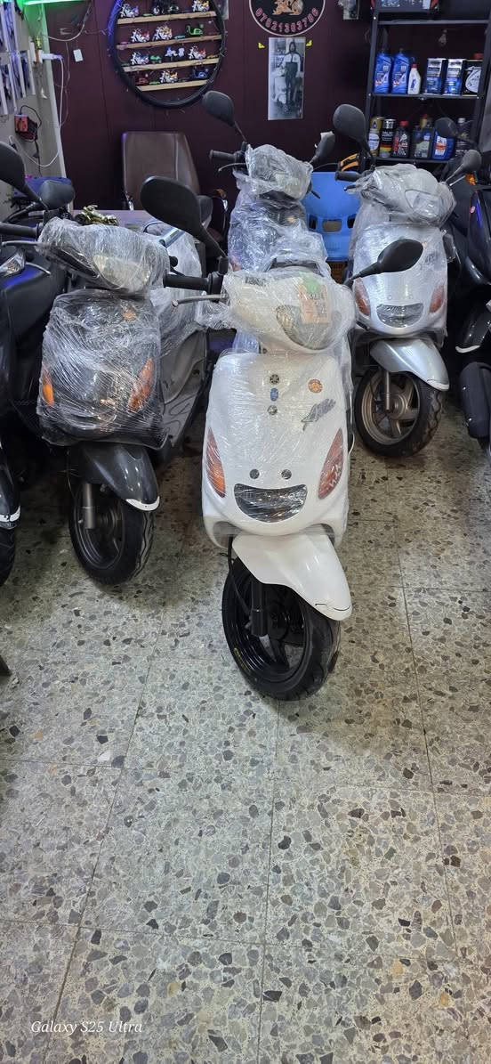 تحيه طيبه
تم وصول وجبه اكزز ١٠٠ فحل 
سكنس ياباني 
نثيه 
شمعه 
معرض الملاك 
حله حي شبر 
***********
