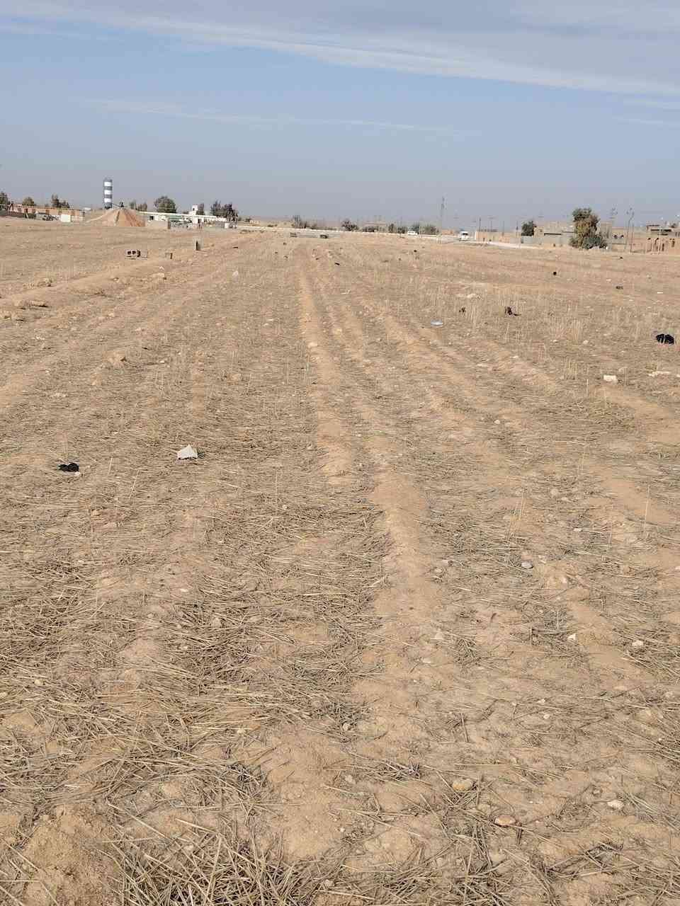 متاح قطعة ارض للبيع في قضاء القائم ناحية الكرابله النهضة الشرقية مساحة القطعه 1040 متر الاستفسار الإتصال على الرقم ***********
