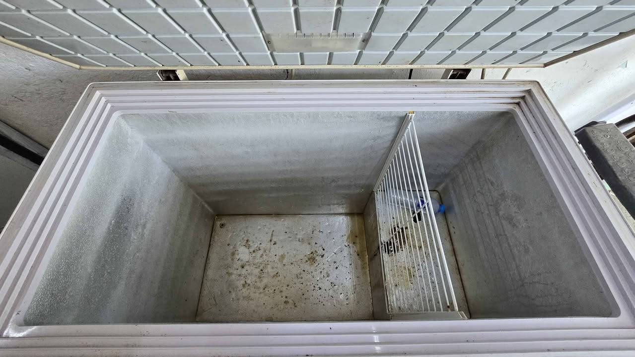 مجمده نظيفه ومرتبه جانت بيها نقص غاز وشحنتها شرط الشغل والفحص تاخذها من الورشه مكاني بصره قبله قرب ام فؤاد الوكيله 
سعرها 125 وبيها مجال بسيط
ورشة اللامي للتبريد البصرة, العراق


**إذا كنت صاحب هذا الإعلان وتريد حذفه لأي سبب، رجاءا أرسل رسالة إلى الدعم الفني**