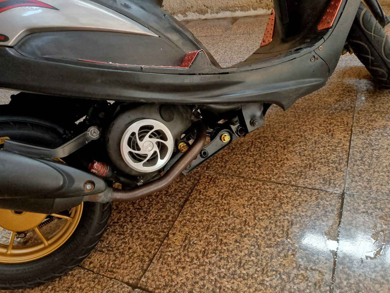 أريدها مراوس بسكنس فحل مزود مرتب وانطي فرق مكاني زعفرانيه ***********
