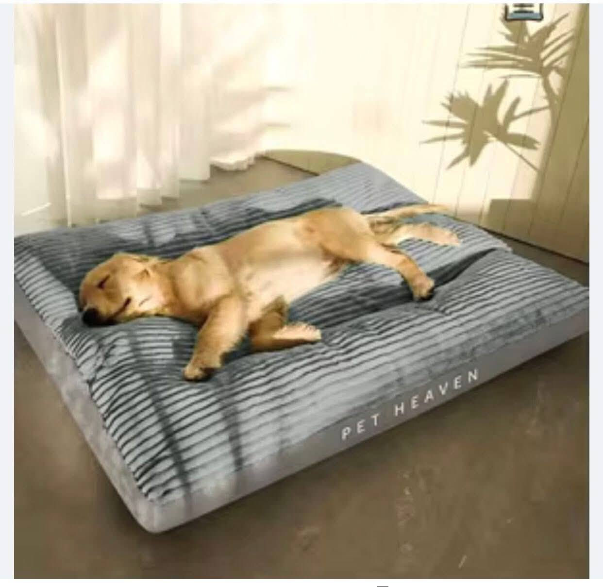 معقولة محد مربي كلاب اجلكم الله
ذني كلهم ب١٠ فقط
ملابس وفراش


**إذا كنت صاحب هذا الإعلان وتريد حذفه لأي سبب، رجاءا أرسل رسالة إلى الدعم الفني**