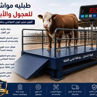 ميزان طبليه • عجول وأغنام • ضمان سنتين
